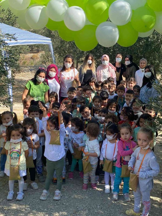 Minik Öğrenciler Zeytin Hasadı Yaptı