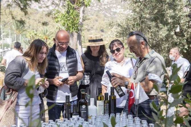 Zeytin Hasadının İlk Adımları