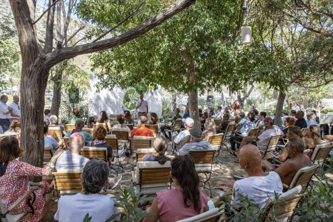Zeytin Hasadının İlk Adımları