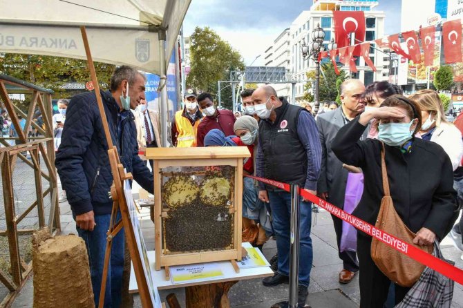 Ankara Büyükşehir Belediyesi “Başkent’in Beş Beyazı”nı Tanıttı