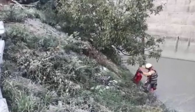 Çoruh Nehrine Düşen Kediyi Afad Ekipleri Kurtardı