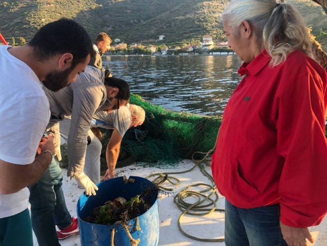 Hayâlet Ağlar Beyaz Eşya Sektörüne Hammadde Olacak