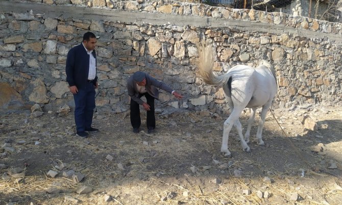 Gerger’de ‘Kuduz’ Karantinası