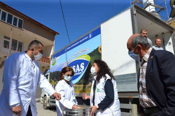 Siyez Buğdayında Hasat Bereketi