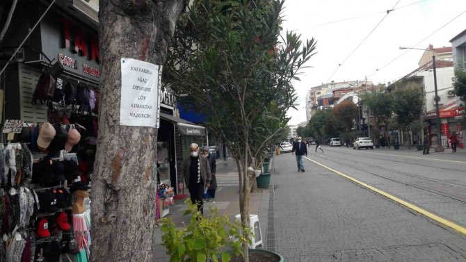 Ağaca Astığı Notla İnsanlara Çöp Atmamaları İçin Yalvardı