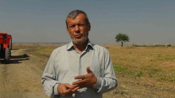 Çukurova’da İkinci Ürün Mısırın Yerini Soya Aldı