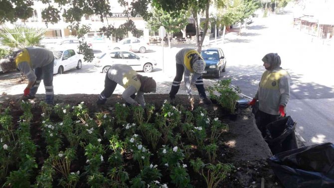 Didim’de Mevsimlik Çiçeklerin Dikimi Yapılıyor