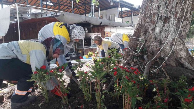 Didim’de Mevsimlik Çiçeklerin Dikimi Yapılıyor