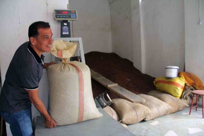 Fındık Fiyatı Serbest Piyasada Yükselişini Sürdürüyor