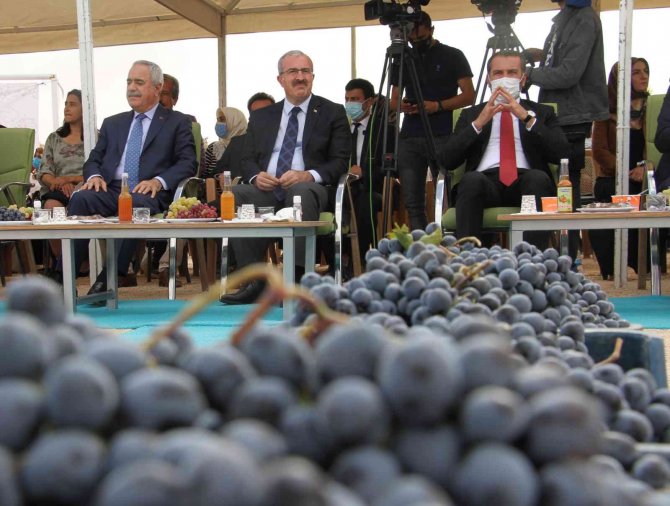 Elazığ’da 15. Bağ Bozumu Ve Orcik Festivali Başladı