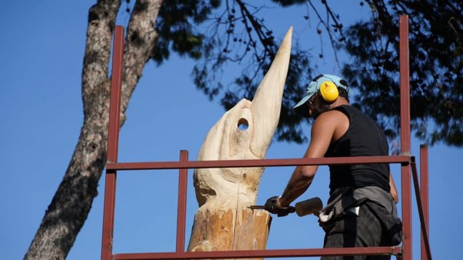 Çeşme’de Ömrünü Tamamlamış Ağaçlar Sanat Eserine Dönüşüyor