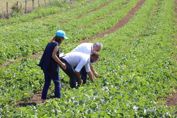 Büyükşehir’den 2 Bin 700 Çiftçiye Tohum Desteği