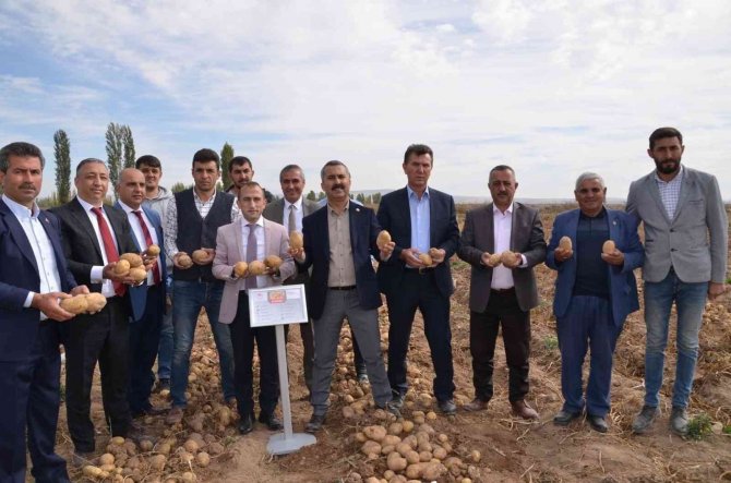 Yerli Ve Milli Patates Çiftçilere Tanıtıldı