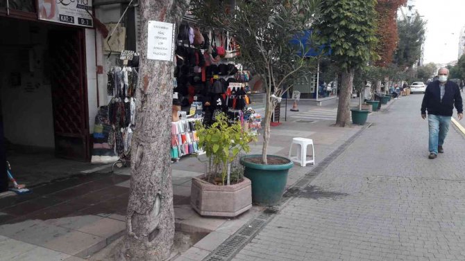 Ağaca Astığı Notla İnsanlara Çöp Atmamaları İçin Yalvardı