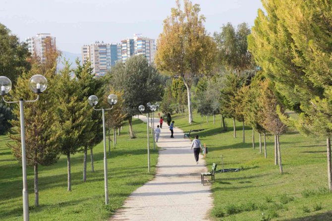 Toroslar Belediyesi, İlçenin Çiçek Ve Bitkilerini Kendi Serasında Yetiştiriyor