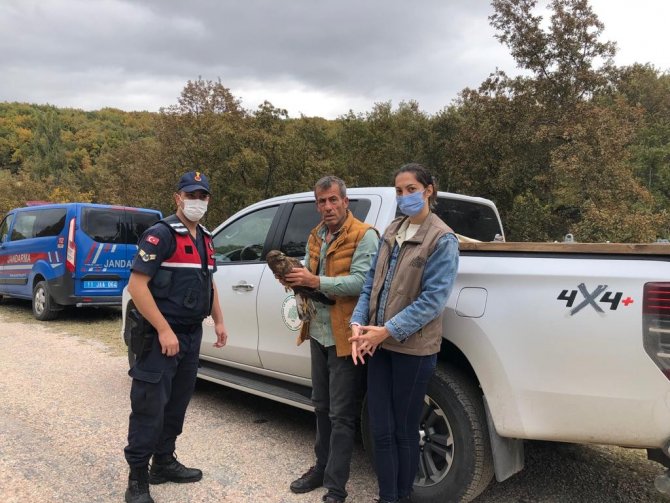 Yaralı Kartal Tedavi Altına Alındı