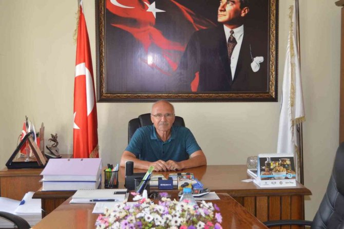 Zeytin Üreticileri Rekolte Beyanı Veriyor