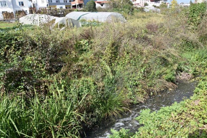 Fabrikalardan Dereye Salınan Kimyasal Atıklar Mahalledeki Seraları Kuruttu