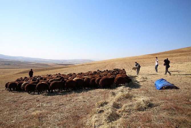 Bayburt’ta “Köyümde Yaşamak İ̇çin Bir Sürü Nedenim Var” Projesi 1 Yıl Daha Uzatıldı