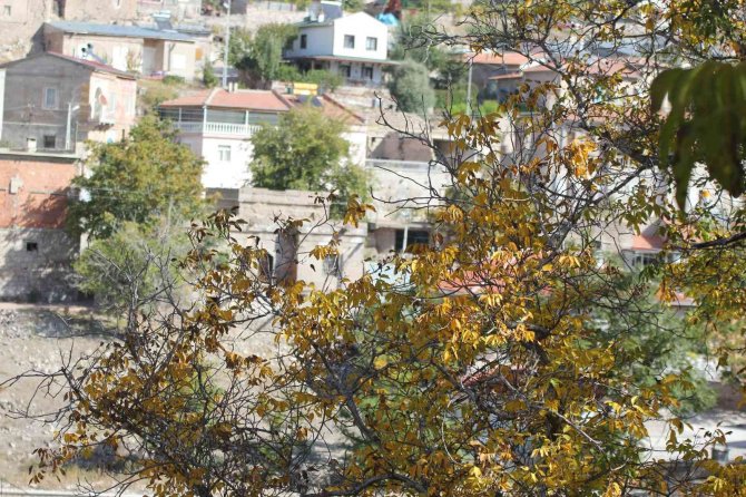 Koramaz’da Renk Cümbüşü