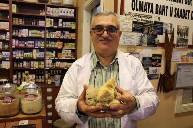 Kilosu 4 Bin Liraya Canlı Sünger
