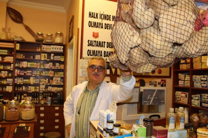 Kilosu 4 Bin Liraya Canlı Sünger