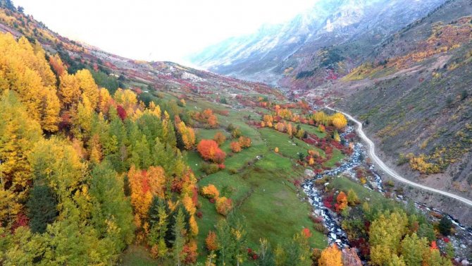 Artvin’de Sonbaharın Gelişiyle Renk Cümbüşü Yaşanıyor