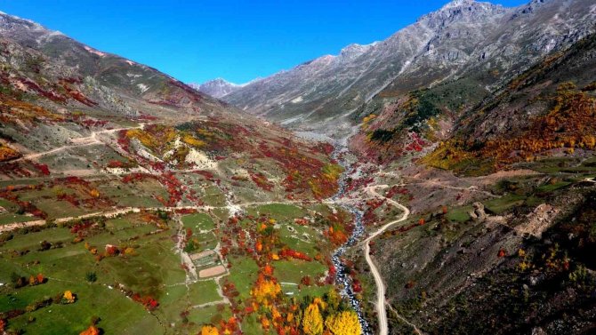 Artvin’de Sonbaharın Gelişiyle Renk Cümbüşü Yaşanıyor