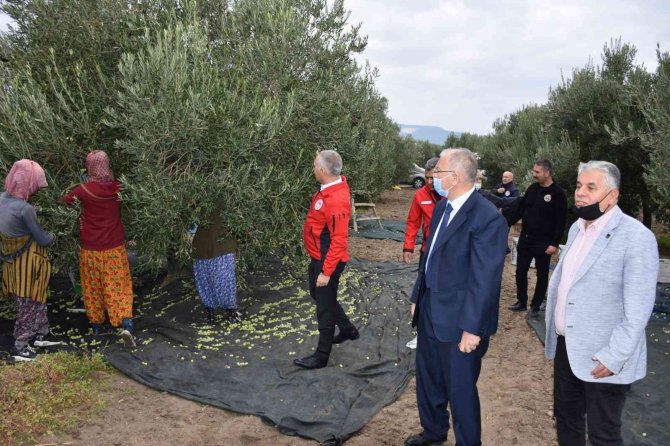 Dünya Kadın Çiftçiler Gününde Üretici Kadınlar Ziyaret Edildi