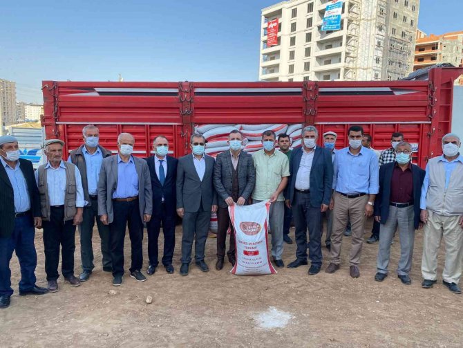 Çiftçilere Yüzde 75 Hibe İle Tohum Dağıtıldı