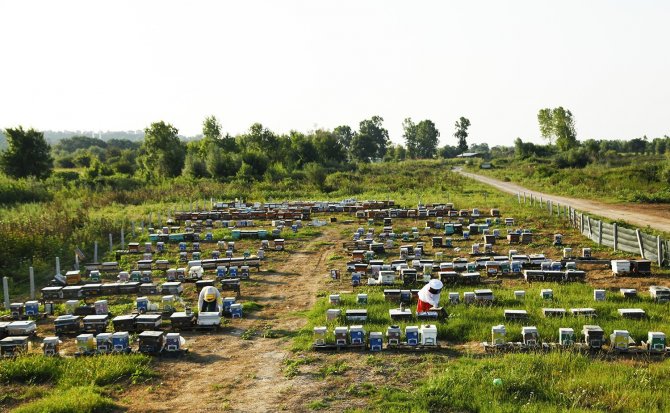 İ̇ki Yılda Şehre 1 Milyon 750 Bin Liralık Katkı Sağladı