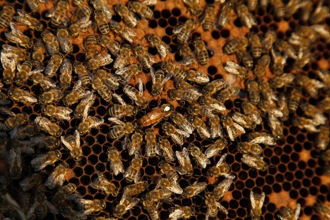 İ̇ki Yılda Şehre 1 Milyon 750 Bin Liralık Katkı Sağladı