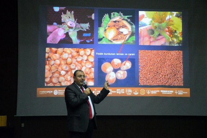 Sakarya, 2020 Yılında Fındık Üretiminde 3’üncü Sırada Yer Aldı