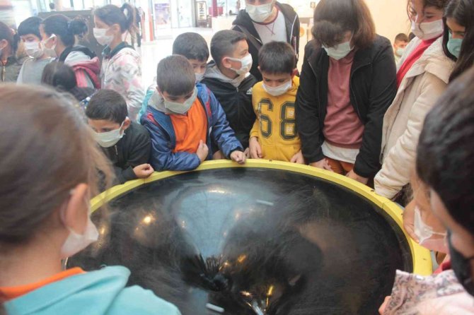 İ̇lkadım’dan Bilime Yolculuk