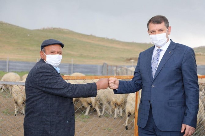 50 Bin Koyun Desteği Verildi, Hedef 1 Milyon