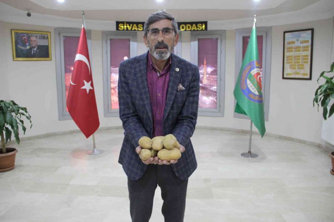 Rekoltede Rekor Kırıldı, Fiyatlar Üreticinin Yüzünü Güldürdü