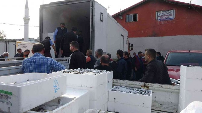 Hamsinin Fiyatı Bir Günde İkiye Katlandı