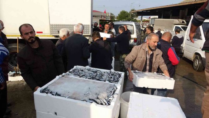 Hamsinin Fiyatı Bir Günde İkiye Katlandı