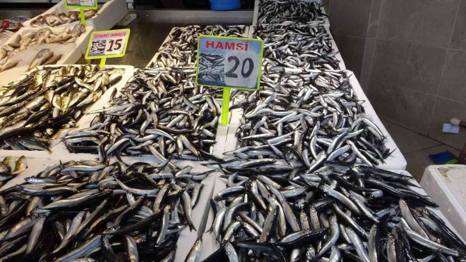Hamsinin Fiyatı Bir Günde İkiye Katlandı