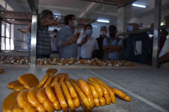 Balık Yumurtası Ve Bottargada Hedef 1 Milyon Kiloyu Aşmak