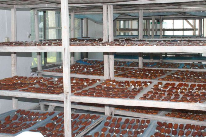 Balık Yumurtası Ve Bottargada Hedef 1 Milyon Kiloyu Aşmak