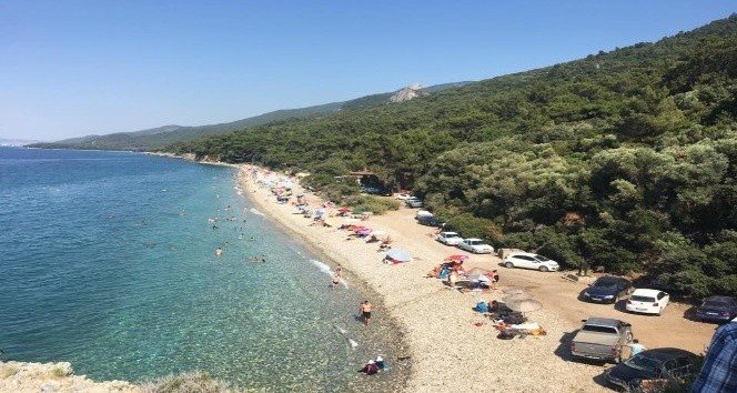 Dilek Yarımadası Büyük Menderes Deltası Milli Parkı Ziyarete Açılıyor