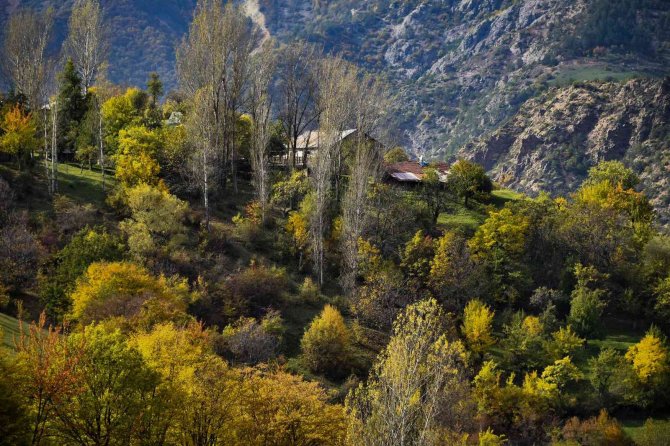 Gümüşhane’den Sonbahar Manzaraları