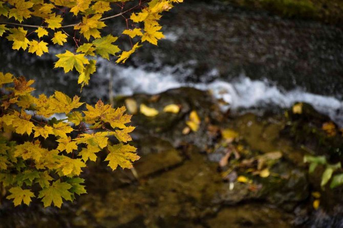 Gümüşhane’den Sonbahar Manzaraları