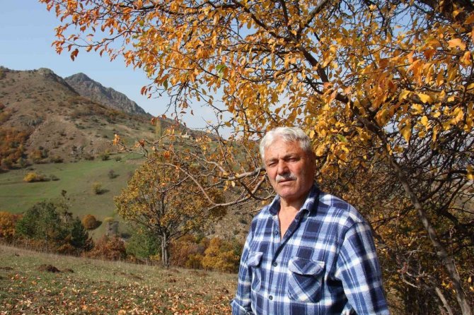 Karnavas’ta Büyüleyen Sonbahar