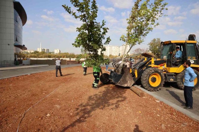 Çocuk Hastanesinin Çevresi Yeşilleniyor