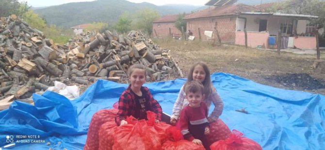 Minikler Cevizleri Kurutup Çuvallara Doldurdu