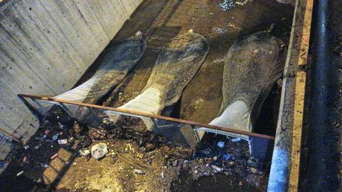 Marmaris’te 10 Ton Atığın Denize Ulaşmasını Engelledi
