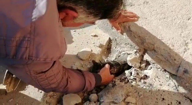 Atık Borusuna Sıkışan Yavru Kedi Böyle Kurtarıldı