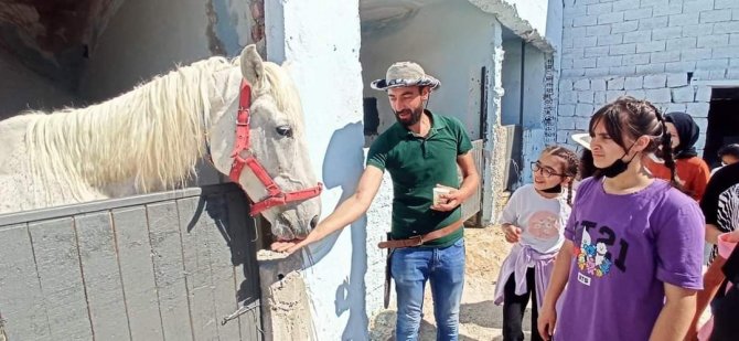 Tomarzalı Çocuklara At Ve Ok Atıcılığı Eğitimi